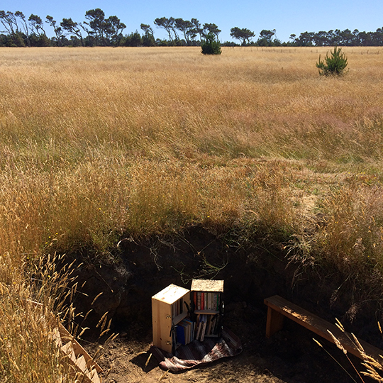 A library bookshelf sits at the bottom of a hole in the middle of a field.