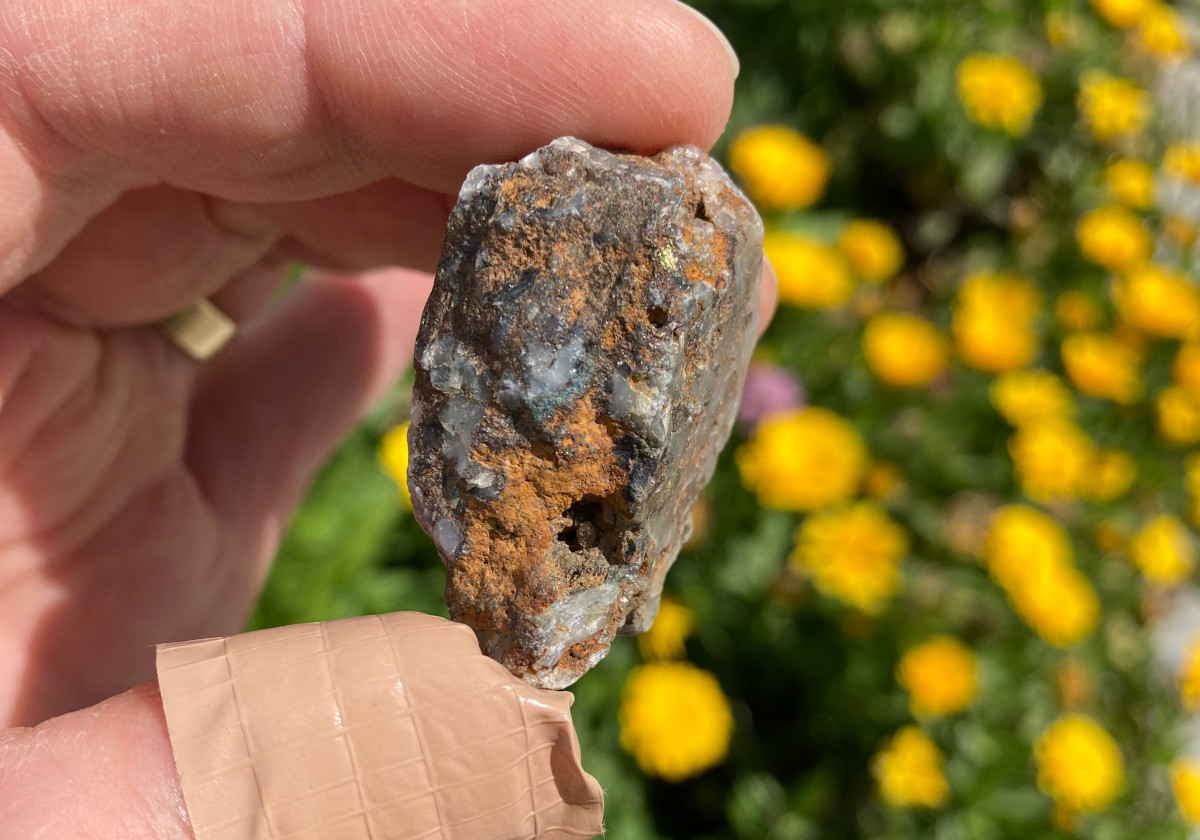 A rock containing the mineral gold, being held between 2 fingers. Flowers are in the background