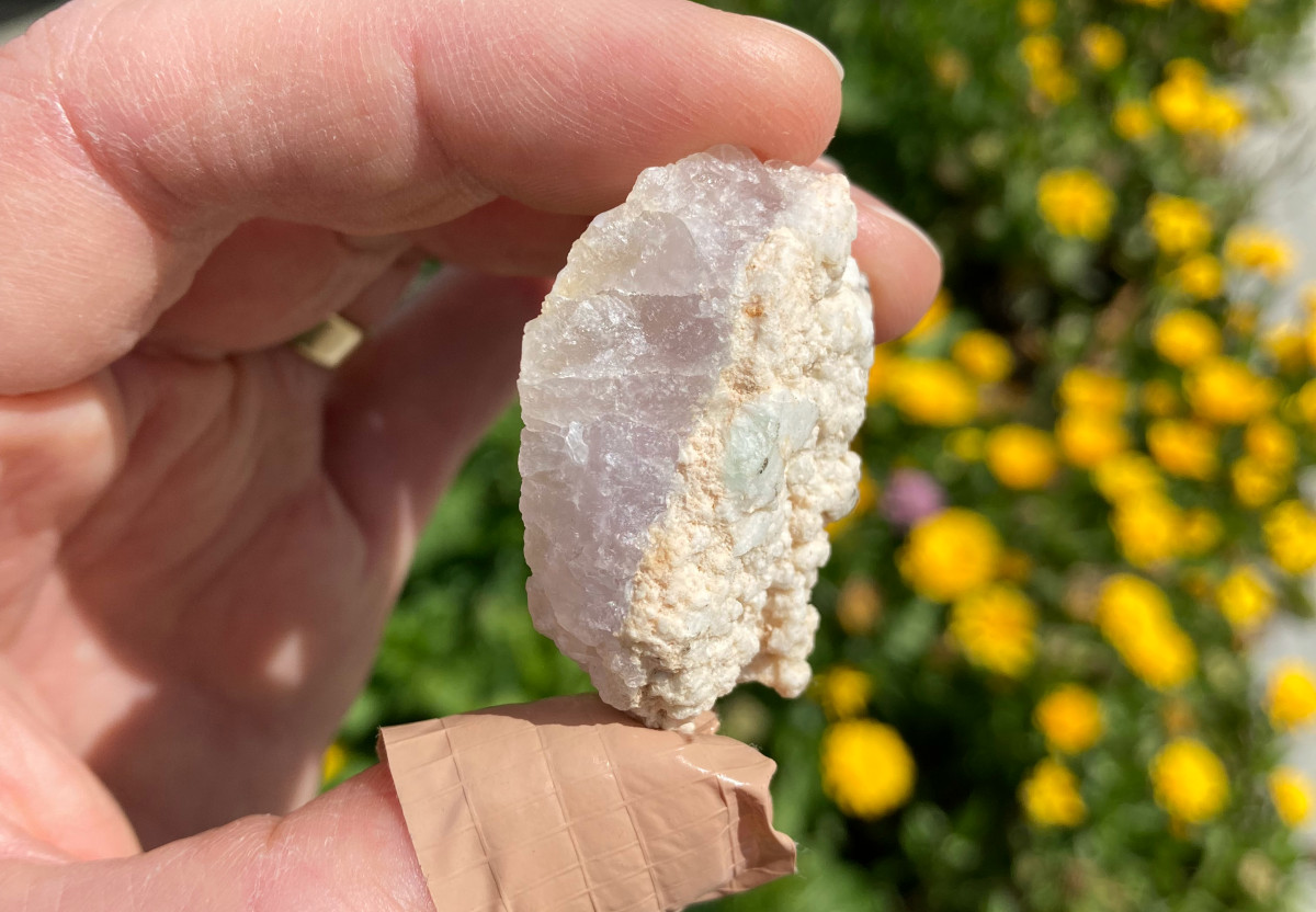 A rock containing the mineral purple fluorite, being held between 2 fingers. Flowers are in the background